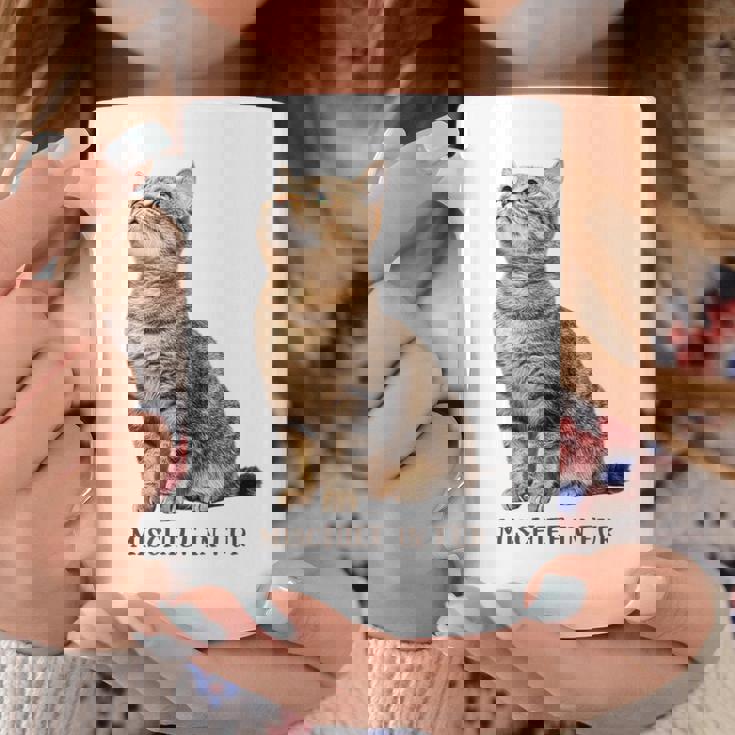 Mischief In Fur 猫写真 キジトラ 猫好き ネタ 猫しもべ 猫飼い 猫依存症 猫オーナー コーヒーマグ 面白い贈り物