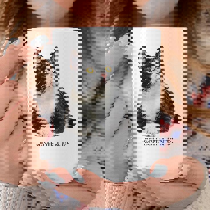 Mischief In Fur 猫写真 ハチワレ猫 黒白猫 猫好き ネタ 猫しもべ 猫飼い 猫依存症 コーヒーマグ 面白い贈り物