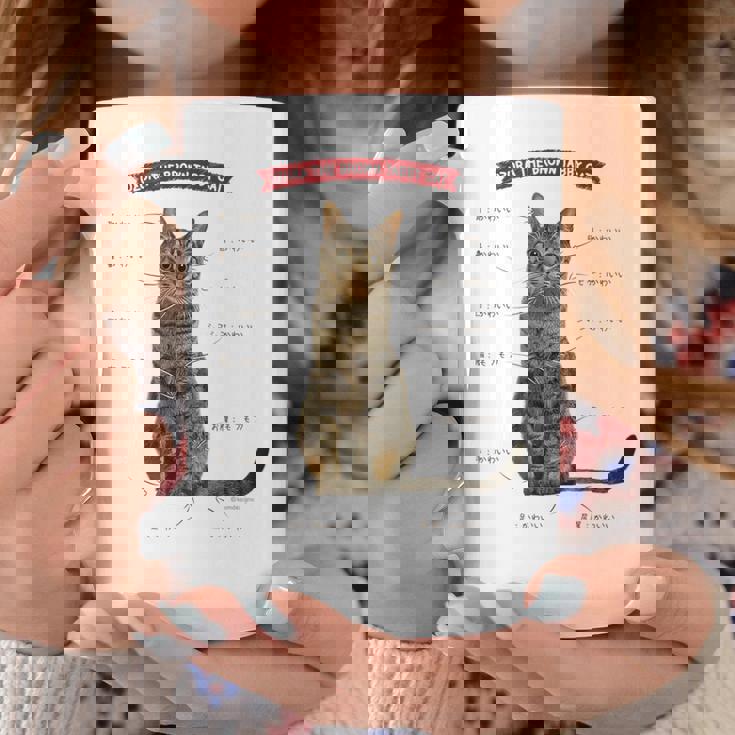 キジトラねこ、うずら 猫 キジトラ猫 鶉 かわいい Cat （ホワイト） コーヒーマグ 面白い贈り物