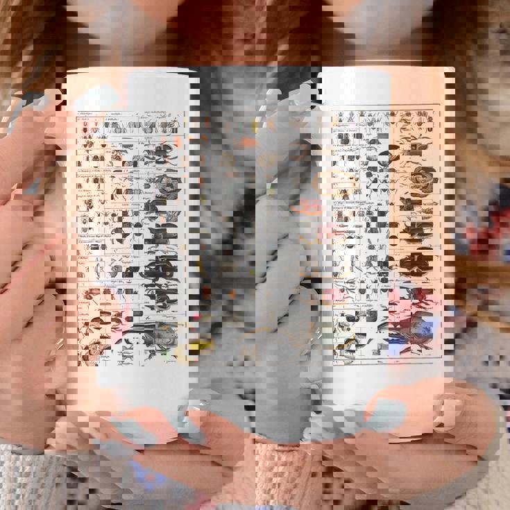 昆虫の種類 ビンテージバグ同定科学 コーヒーマグ 面白い贈り物