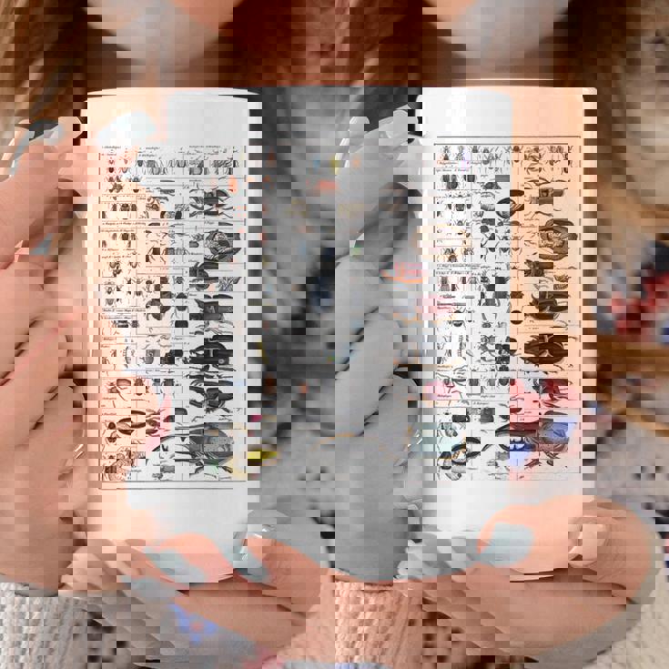 昆虫コレクション 種 虫 ビンテージ チャート 昆虫学 コーヒーマグ 面白い贈り物