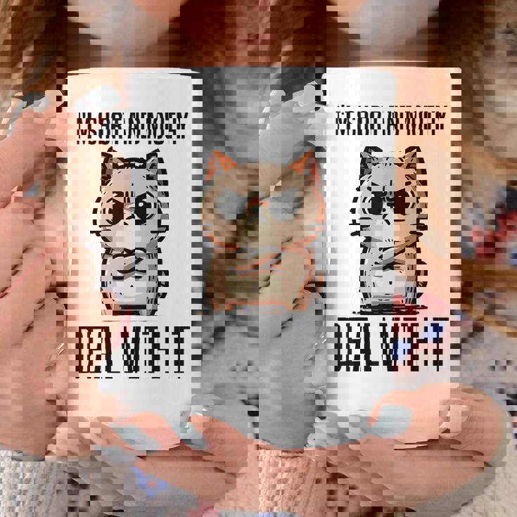 私は短気で口うるさいので、それを扱います。態度猫 コーヒーマグ 面白い贈り物