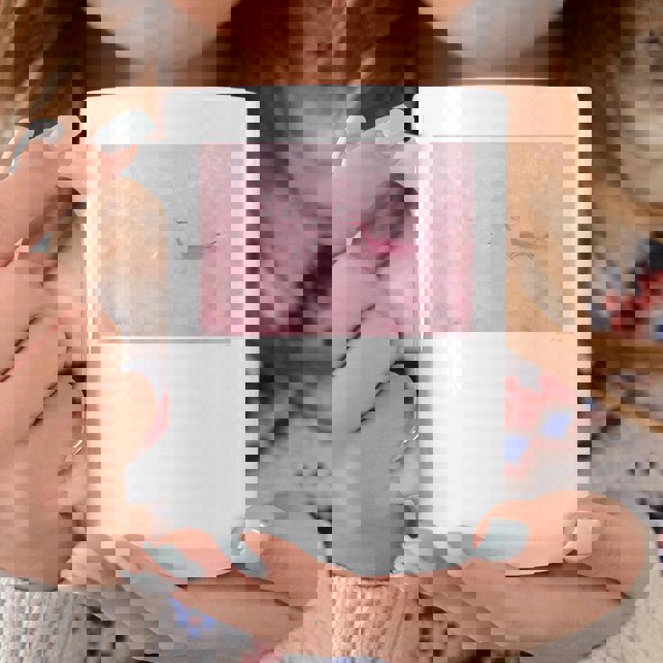 詩とメルヘン 葉祥明 私のネッシー コーヒーマグ 面白い贈り物