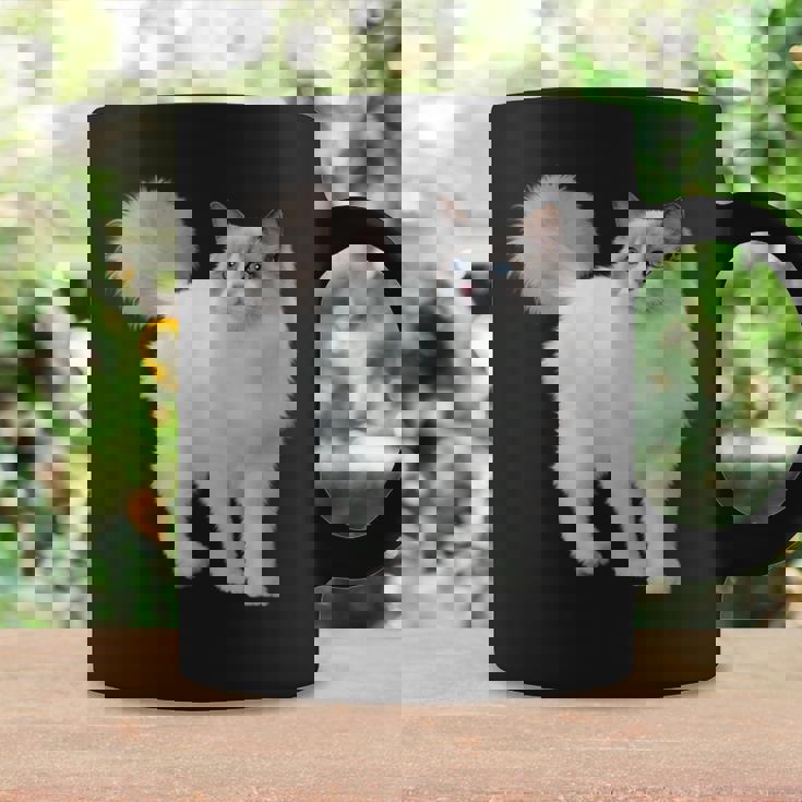 ラグドール 猫のポートレート ラグドール キャットヘッド ラグドール 猫の顔 コーヒーマグ ギフトのアイデア