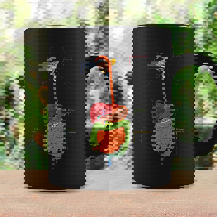 人体消化器系消化管の解剖学 コーヒーマグ ギフトのアイデア