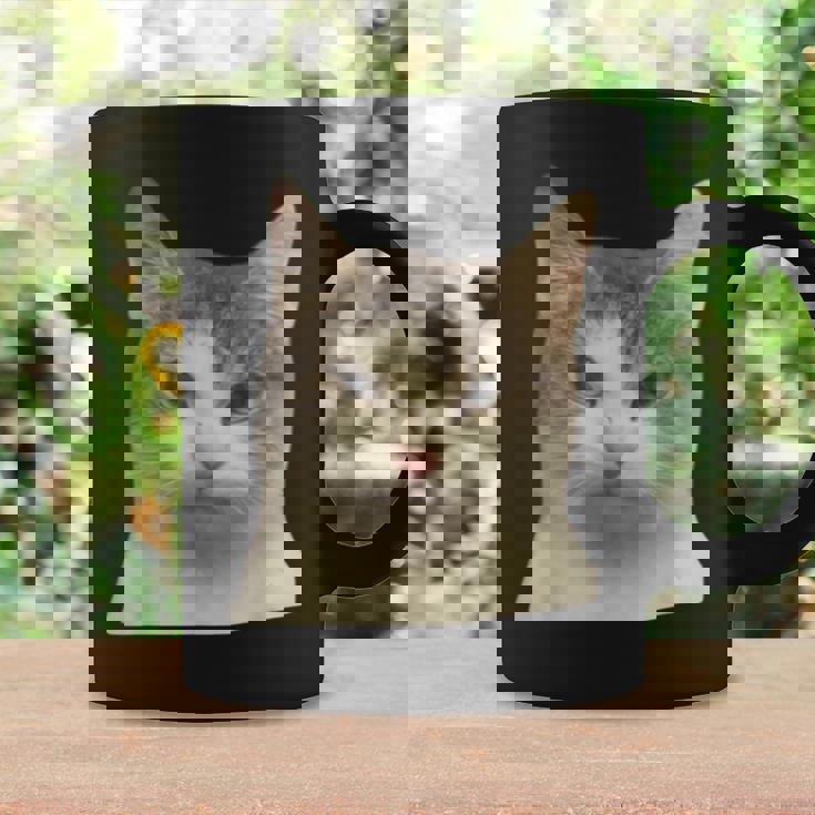 怒っている猫 リアル ミーム ウイルス インターネット コーヒーマグ ギフトのアイデア