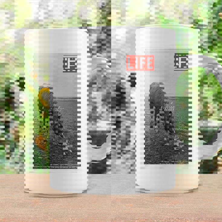 Life Picture Collection 馬と猫（1） コーヒーマグ ギフトのアイデア