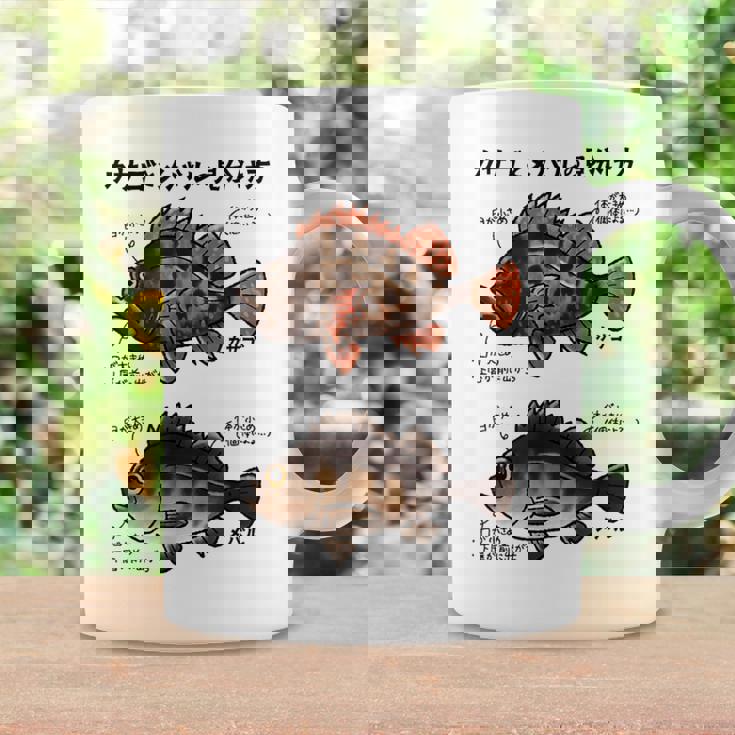 カサゴとメバルの見分け方 コーヒーマグ ギフトのアイデア