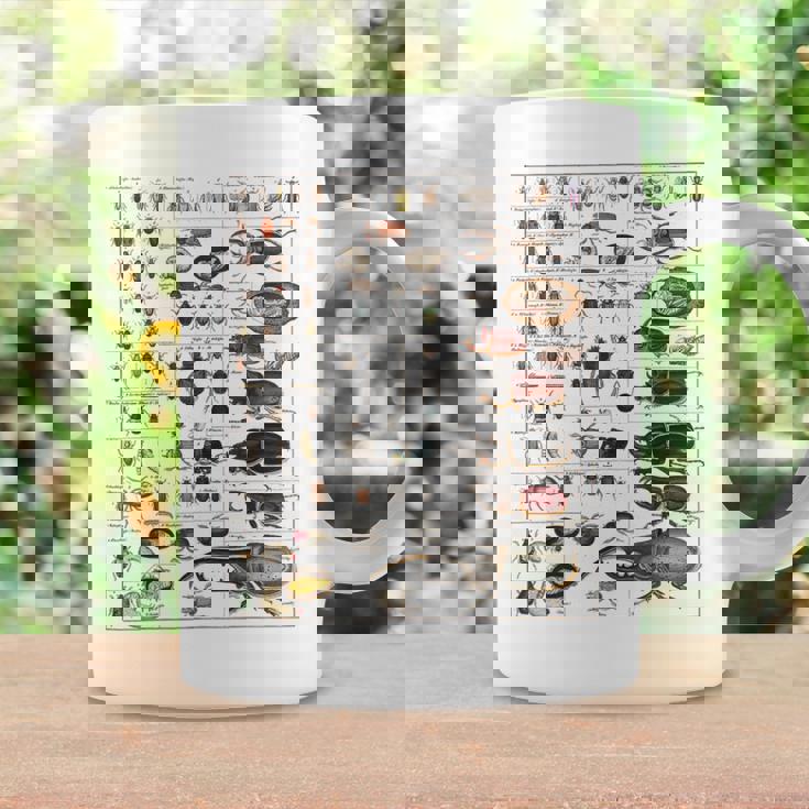 昆虫の種類 ビンテージバグ同定科学 コーヒーマグ ギフトのアイデア