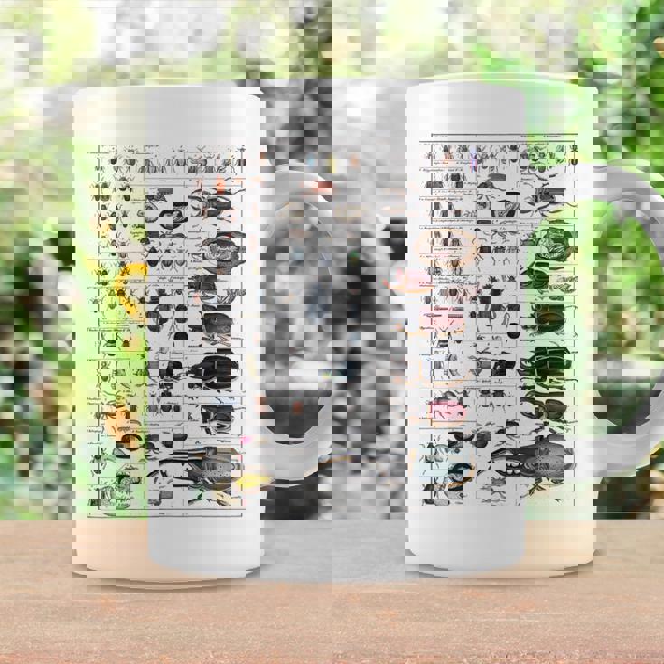 昆虫コレクション種ヴィンテージバグチャート昆虫学 コーヒーマグ ギフトのアイデア