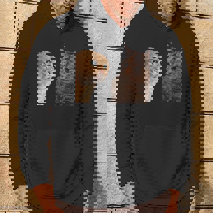 2匹の猫がミームを話す パーカー ライフスタイル