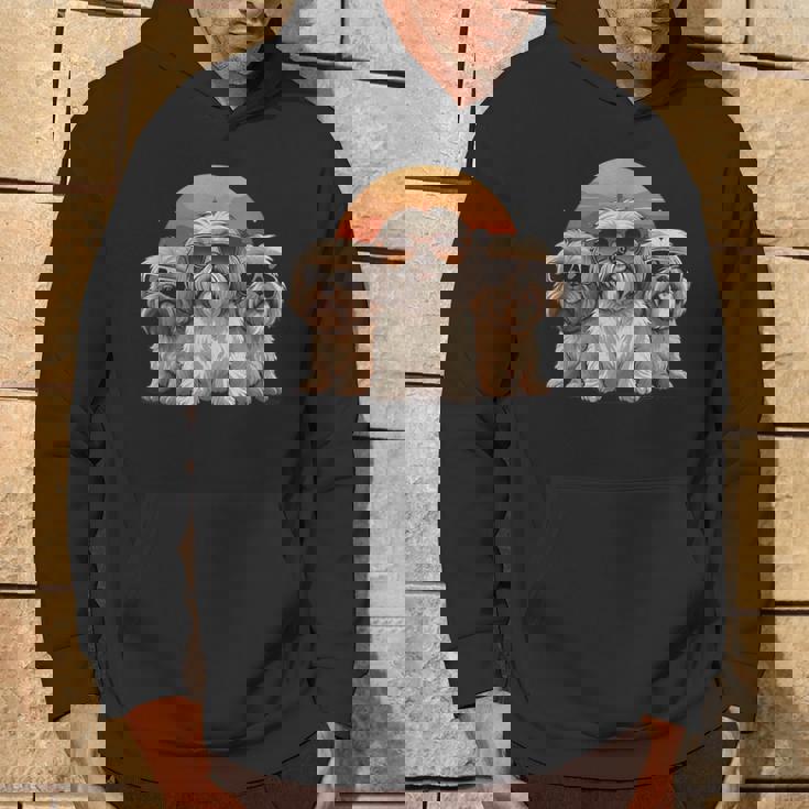 3匹のかわいい犬 ラサ・アプソ シーズー クール サングラス付き パーカー ライフスタイル