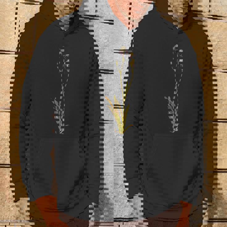 Albrecht Durerによるアイリス1503 パーカー ライフスタイル