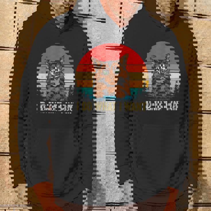 I Do What I Want Cat レトロ ヴィンテージ 面白い 猫好き パーカー ライフスタイル