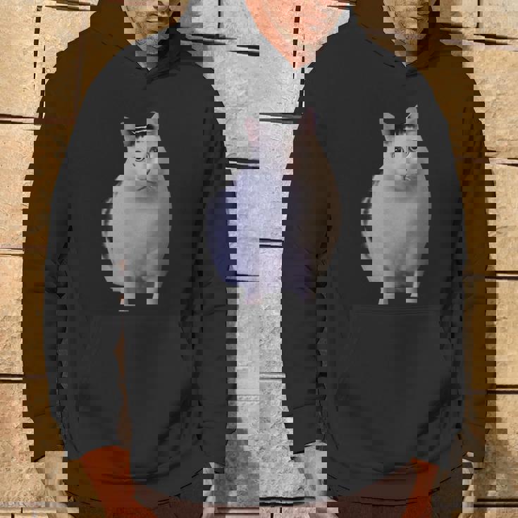 Meme Huh Catミームハァキャット面白い パーカー ライフスタイル