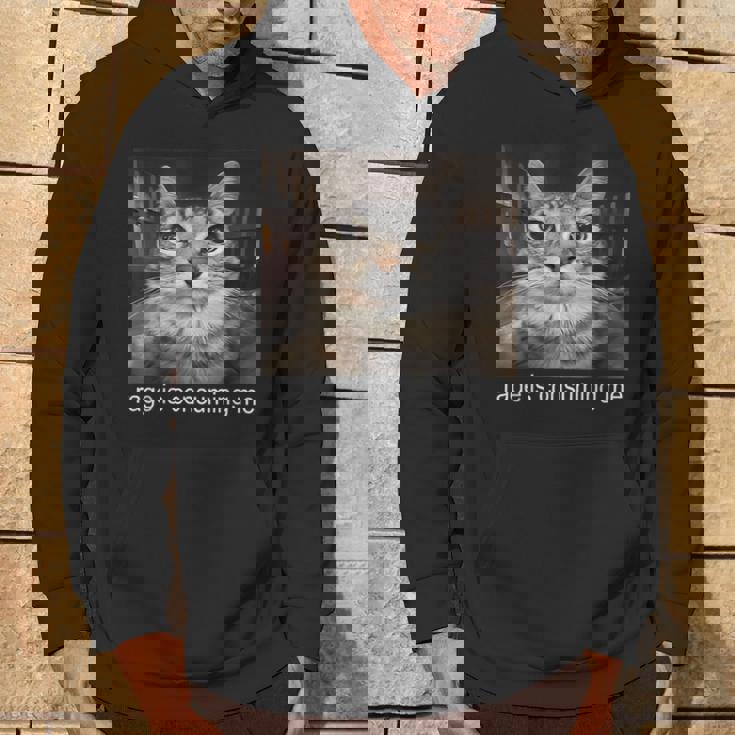 Rage Is Consuming Me 愚かな凝視猫ミーム パーカー ライフスタイル