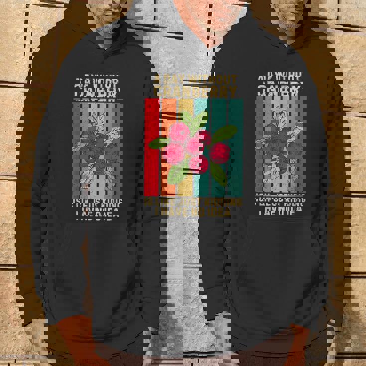 Vintage A Day Without Cranberry I Have No Idea クランベリー パーカー ライフスタイル