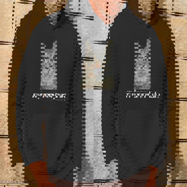 お腹が痛い面白い猫のミーム パーカー ライフスタイル