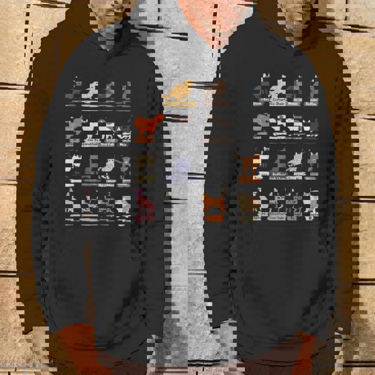 かわいい猫の種類 パーカー ライフスタイル