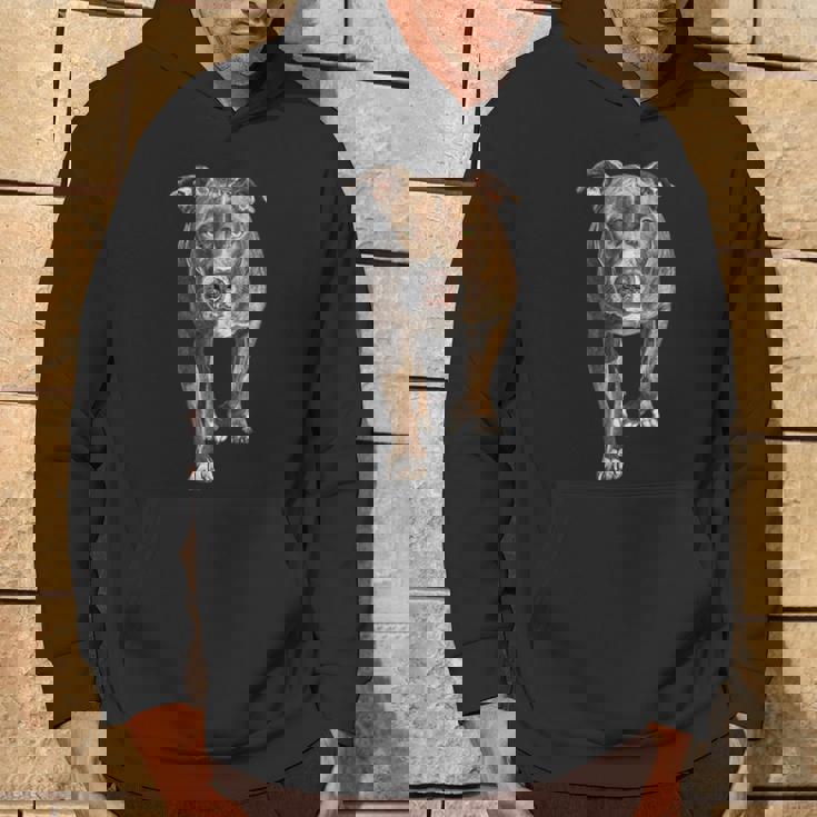 アメリカンピットブルテリア パーカー ライフスタイル