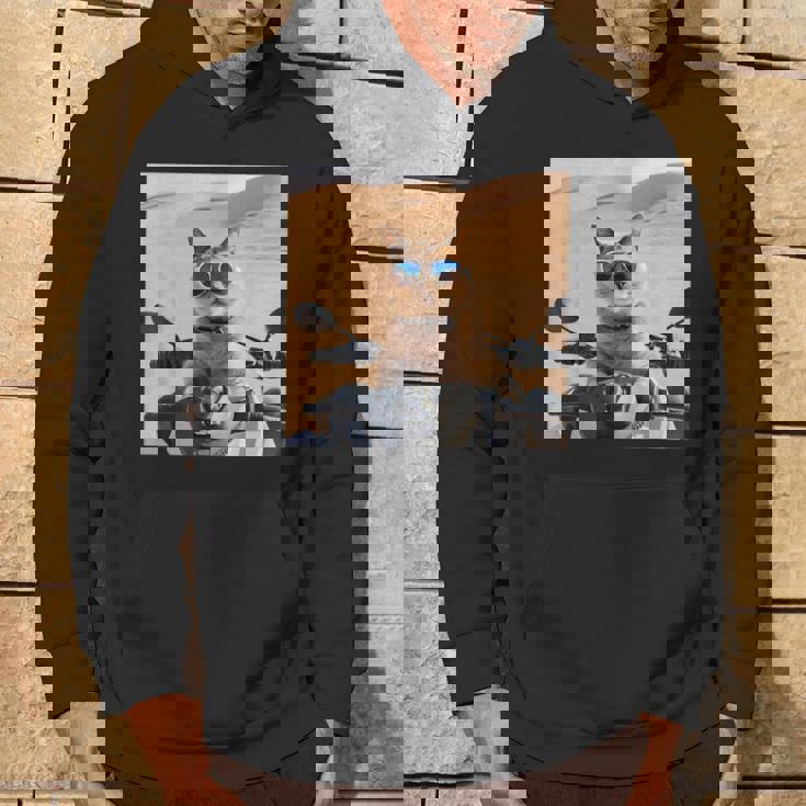 アラビア砂漠でサングラスをかけた猫、ドバイにマッチ。 パーカー ライフスタイル