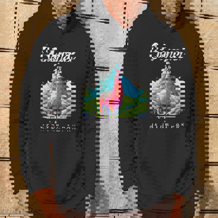 エクアドル コトパクシ国立公園 レトロ ラマ お土産 ハイキング パーカー ライフスタイル