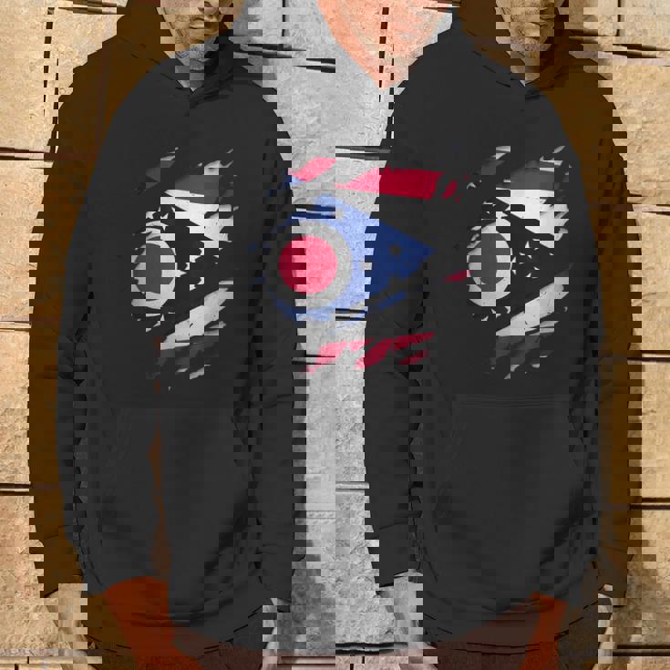 オハイオ州オハイオ州立大学 破れ加工 オハイオ州旗 パーカー ライフスタイル