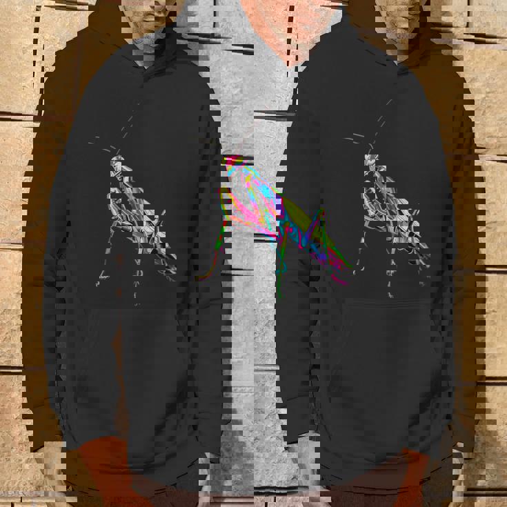 カマキリ カマキリ類 昆虫学 カマキリ パーカー ライフスタイル