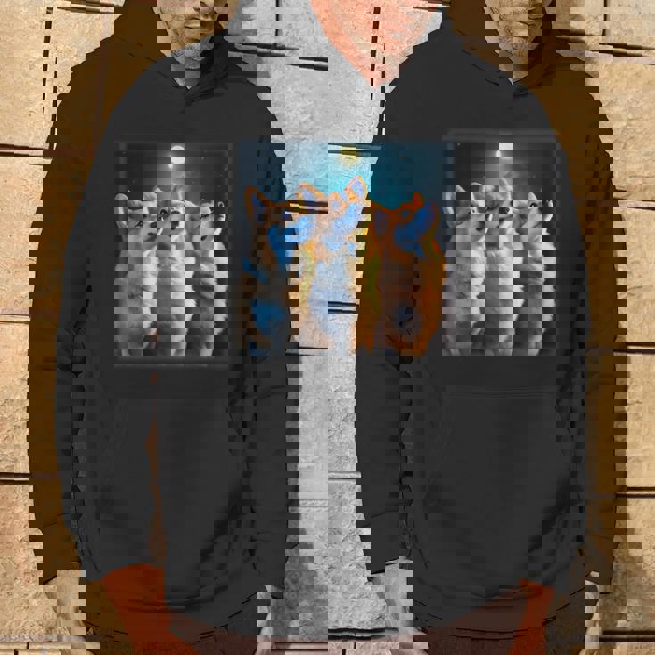 コーギー 面白いtシャツ 犬 かわいい メンズ 子供 おもしろ 服 雑貨 グッズ ネタ わんこ イヌ パーカー ライフスタイル