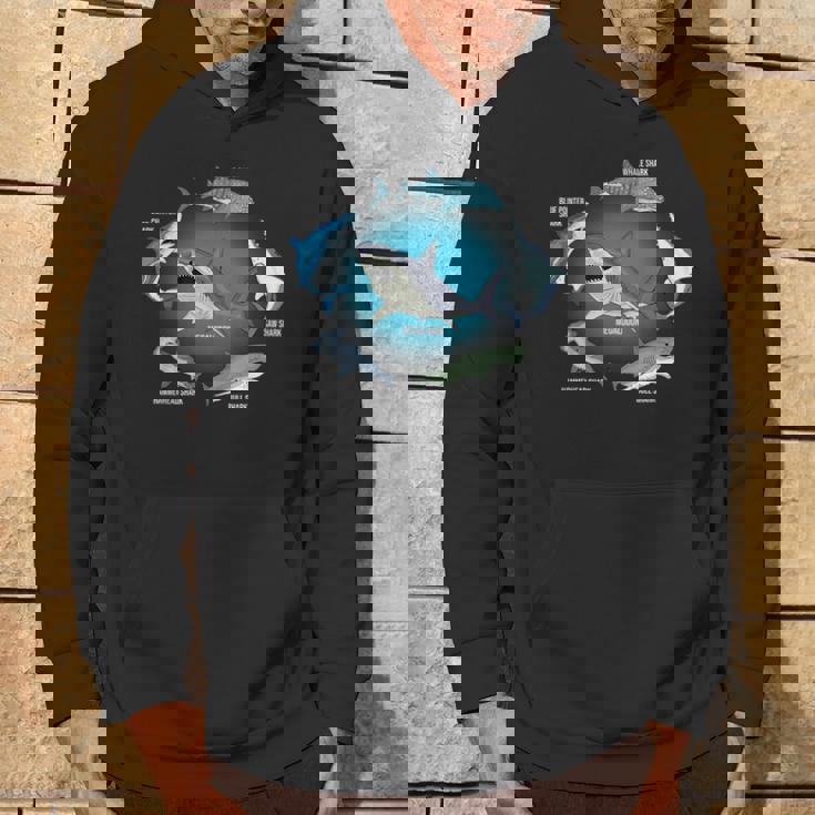 サメ6種 サメタイプ サメ 海の生き物 メガロドン サメ パーカー ライフスタイル