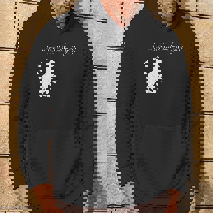 シュロディンガース 猫方程式物理学 オタク物理学 科学 パーカー ライフスタイル