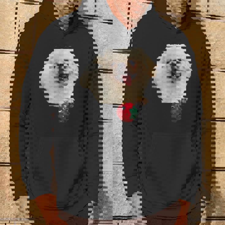 スマイル ペキニーズサニー パーカー ライフスタイル