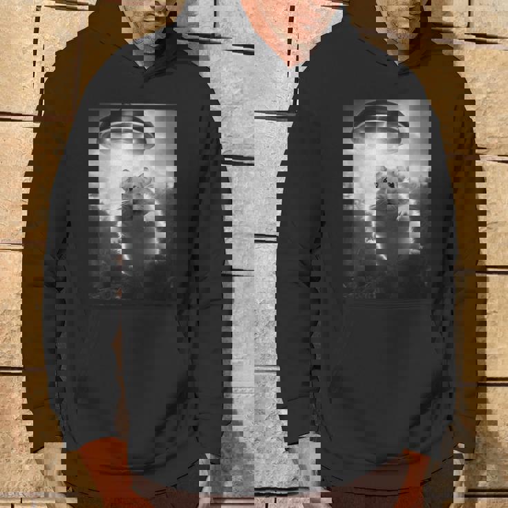 ハムスターを追うufo、クレイジーな動物、面白いハムスター パーカー ライフスタイル