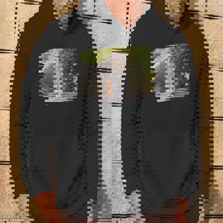 パタス・モンキー パーカー ライフスタイル