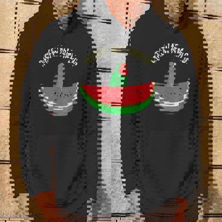 パーフェクトスイカラブバード、バーブミーム、グリーンオウムフルーツ パーカー ライフスタイル