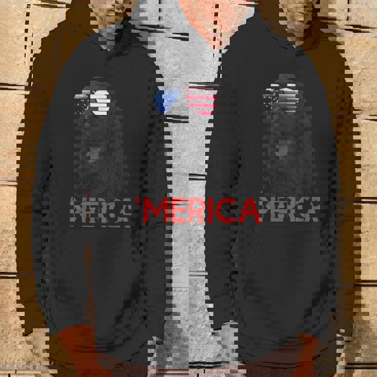 メリカ Englsh Cockerspaniel アメリカ国旗 7月4日 パーカー ライフスタイル