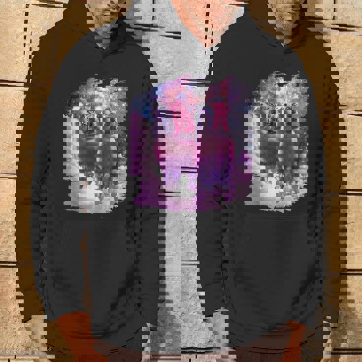 宇宙で虹色のラマに乗る子猫 パーカー ライフスタイル