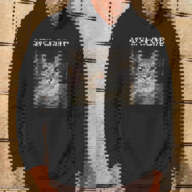 待ってよヤギの愚かな猫のミーム パーカー ライフスタイル