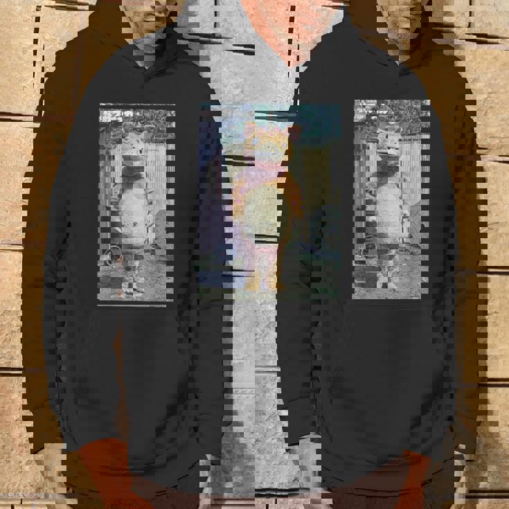 快獣ブースカシリーズ リアルスチール カラー パーカー ライフスタイル