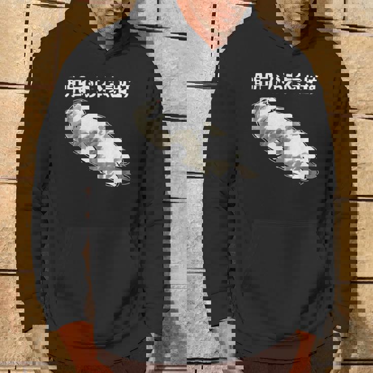 明日から本気出す 面白い猫のことわざ パーカー ライフスタイル