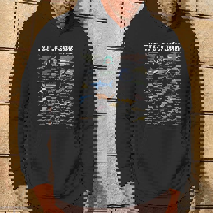 海の王者たち パーカー ライフスタイル