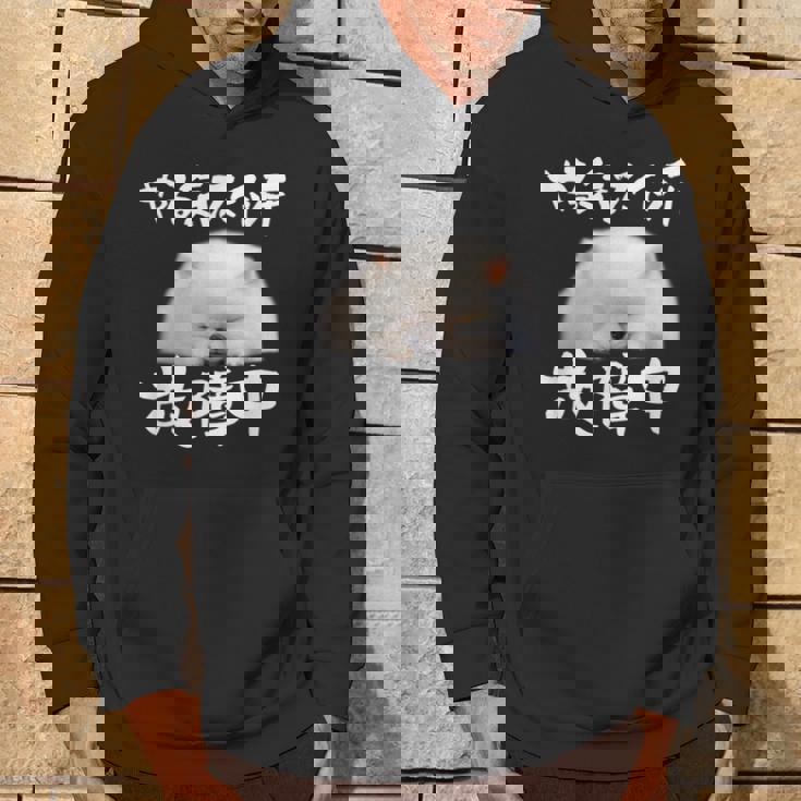 面白いtシャツ ポメラニアン やる気スイッチ イヌ メンズ 犬好き グッズ おもしろ 面白い 服 ネタ パーカー ライフスタイル