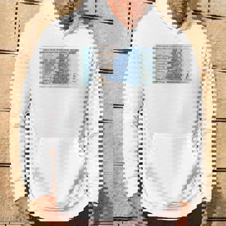 100兆 ジンバブエドル パーカー ライフスタイル