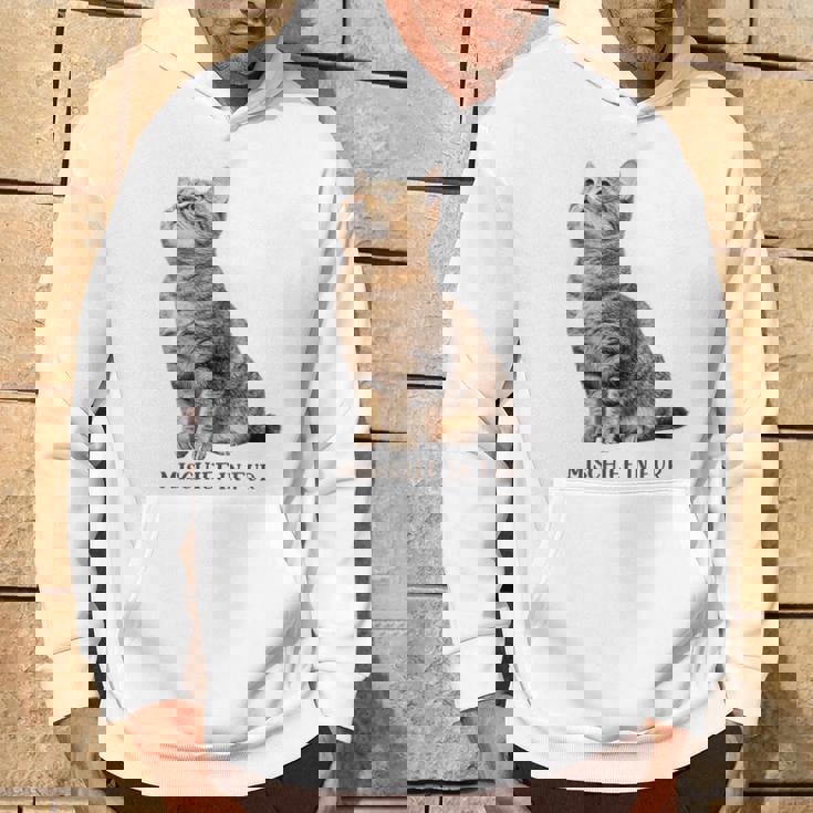 Mischief In Fur 猫写真 キジトラ 猫好き ネタ 猫しもべ 猫飼い 猫依存症 猫オーナー パーカー ライフスタイル