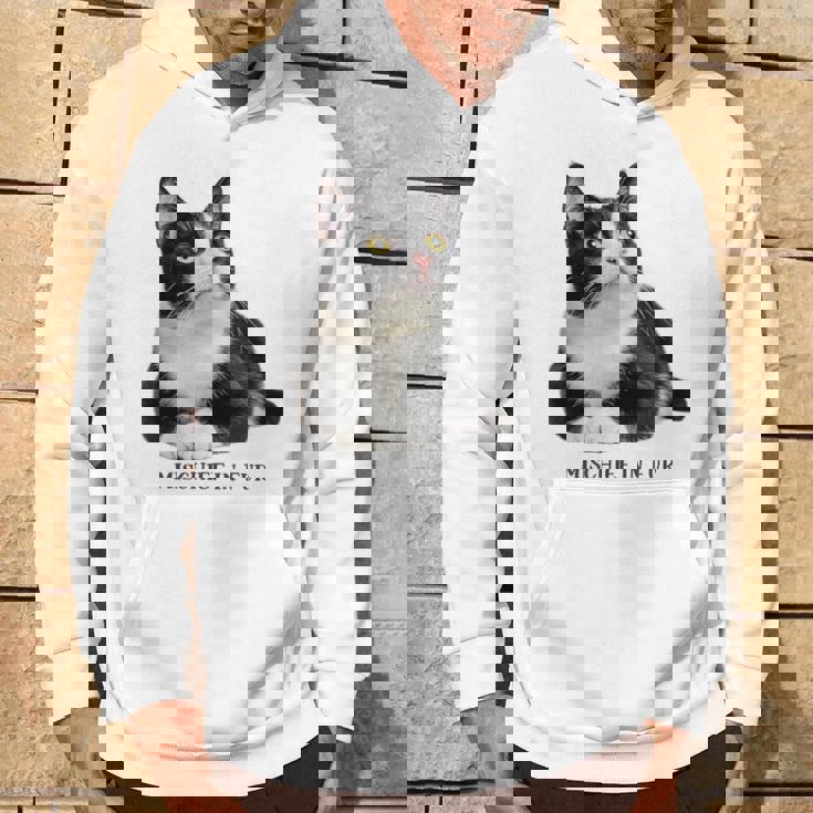 Mischief In Fur 猫写真 ハチワレ猫 黒白猫 猫好き ネタ 猫しもべ 猫飼い 猫依存症 パーカー ライフスタイル