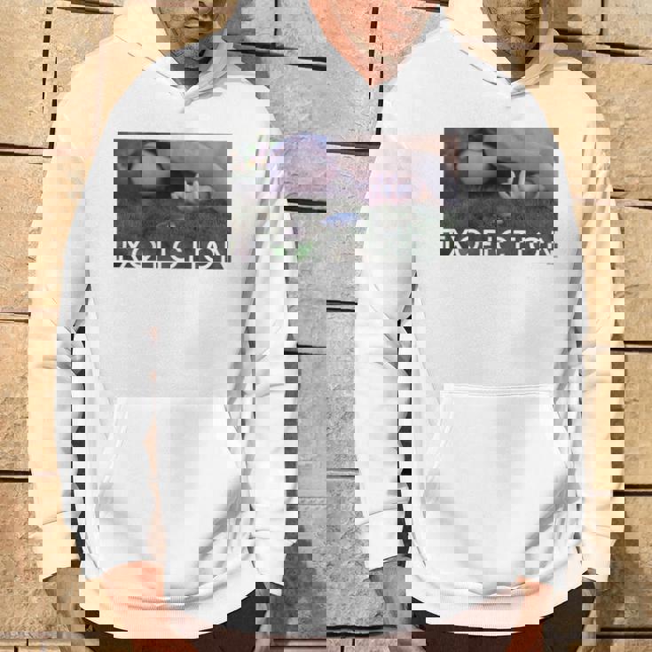 Txq Fiction 白tシャツ（半袖）背面 パーカー ライフスタイル