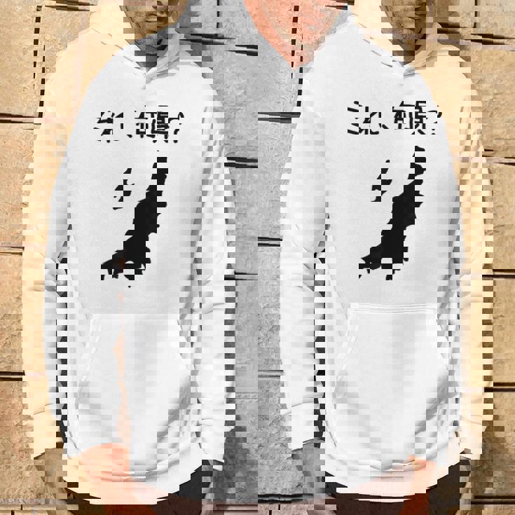 【これ、何県？】新潟県 都道府県 クイズ 小学生 遊び心 パズル 地図 シルエット 地理 先生 おもしろ 面白い ネタ パーカー ライフスタイル