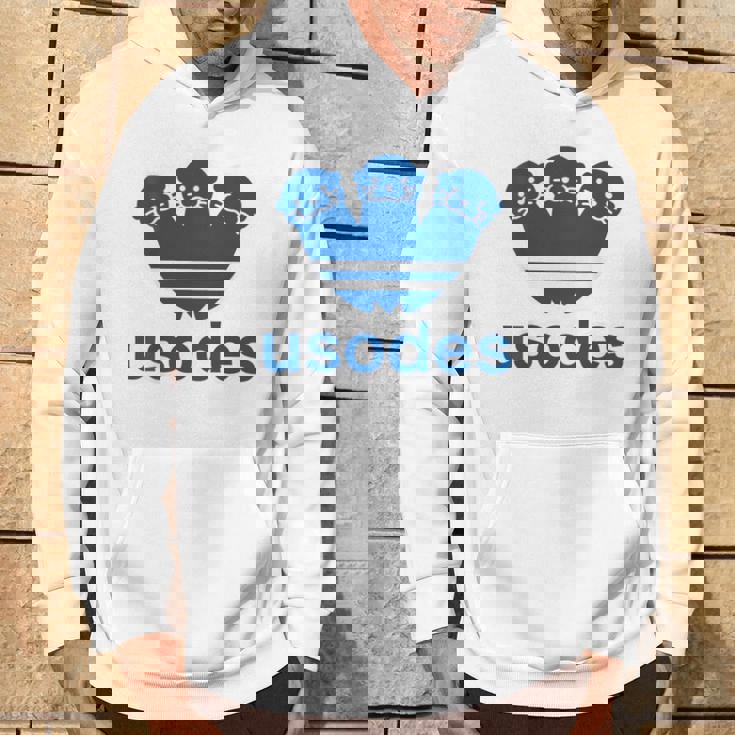 【バックプリント・背中側】ウソデス Usodes かわうそです。《ブルー 青》スポーツ ブランド パロディ 面白い パーカー ライフスタイル