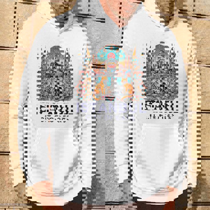 イスタンブール、トルコ 猫の街 Ii パーカー ライフスタイル