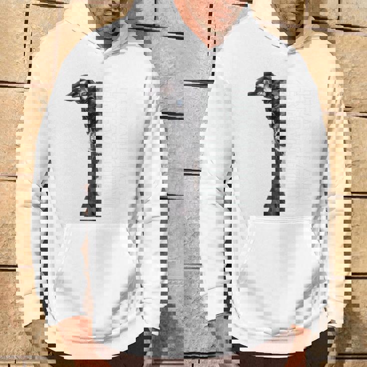 イタリアングレイハウンド 長袖tシャツ パーカー ライフスタイル